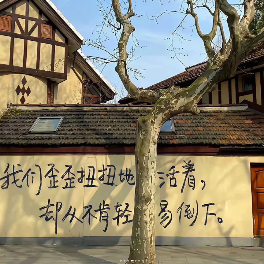 直到我看到了你