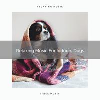 Relaxing Music For Indoors Dogs