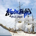 哎呦上头了 (DJ版)封面
