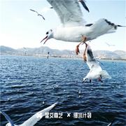 爱情能当饭吃专辑