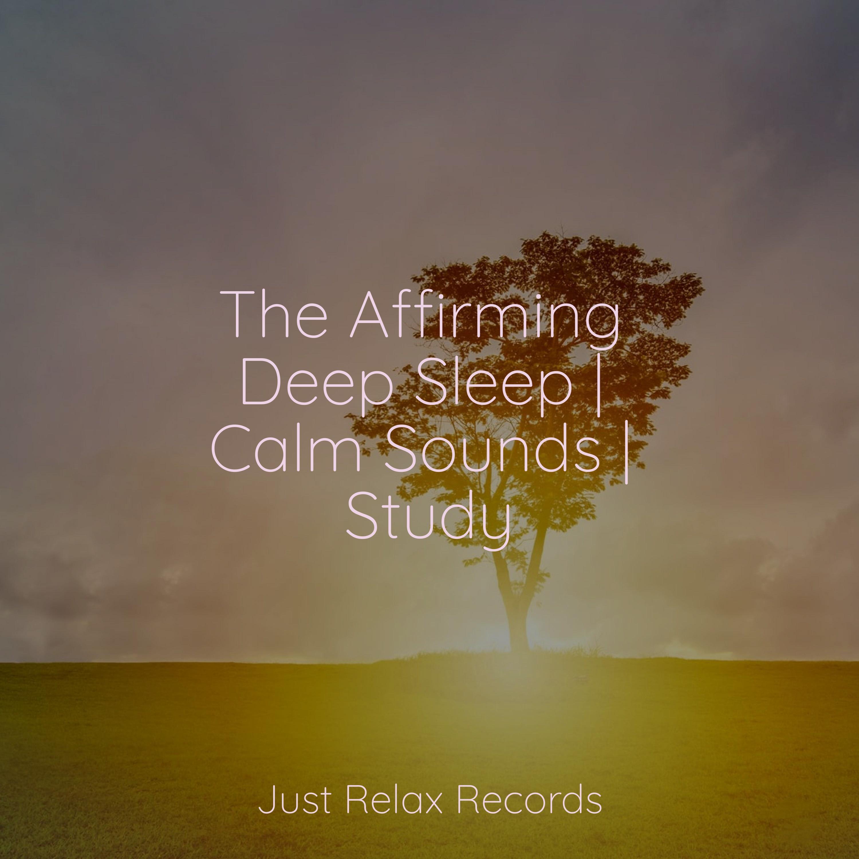 Harmonious Mirage Journey Lucid Dreaming WorldCollective Unconscious