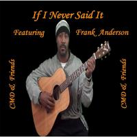 If I Never Said It (feat. Frank Anderson)