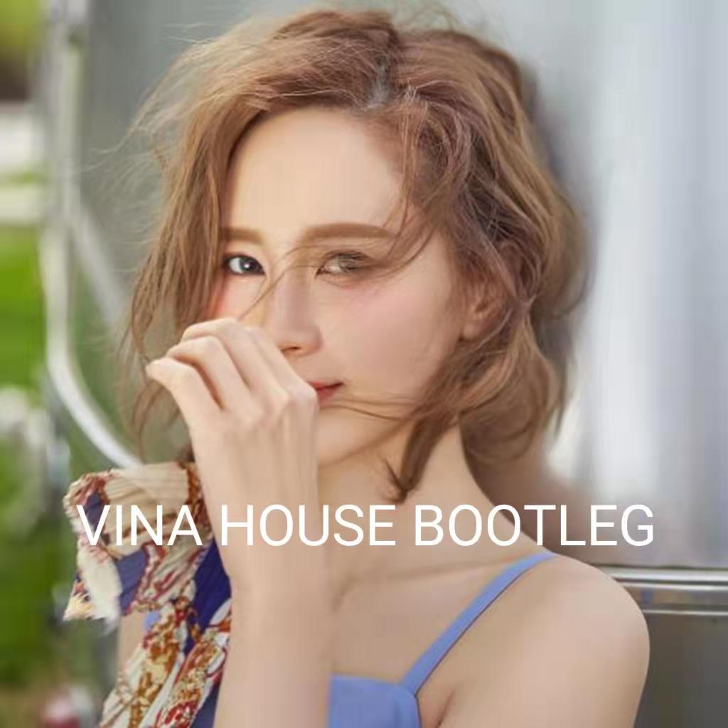傅颖-花吃了这女孩（Vina House Bootleg）封面
