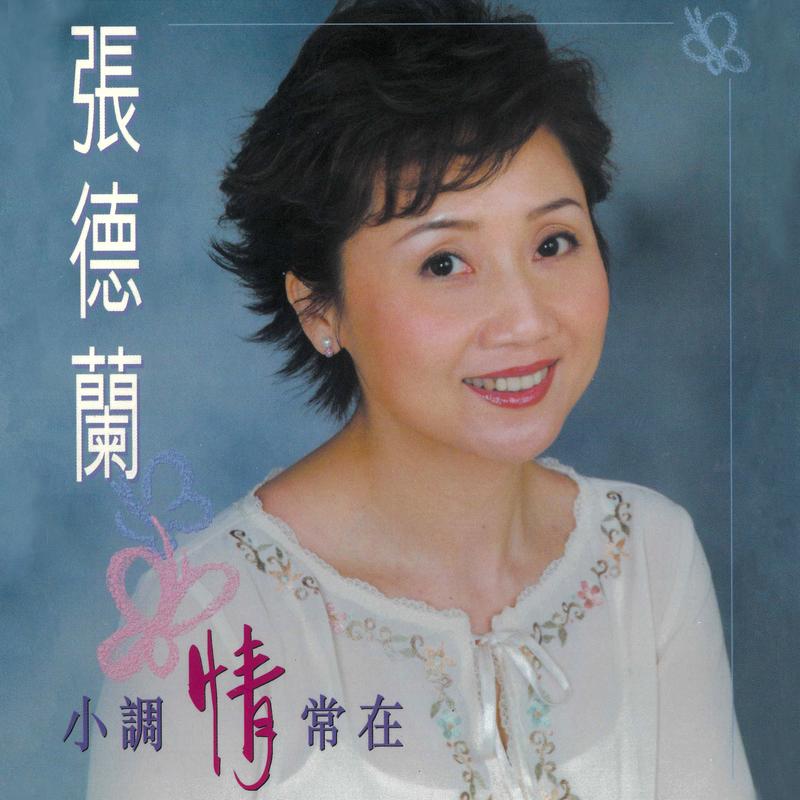 痴情泪封面