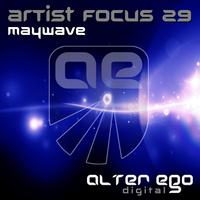 Artist Focus 29