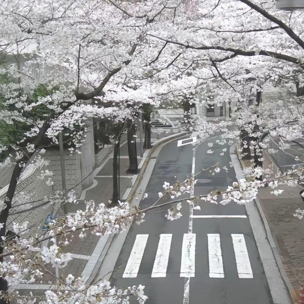 全部忘れちゃえ，