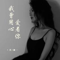 我曾用心爱着你（dj何友版）