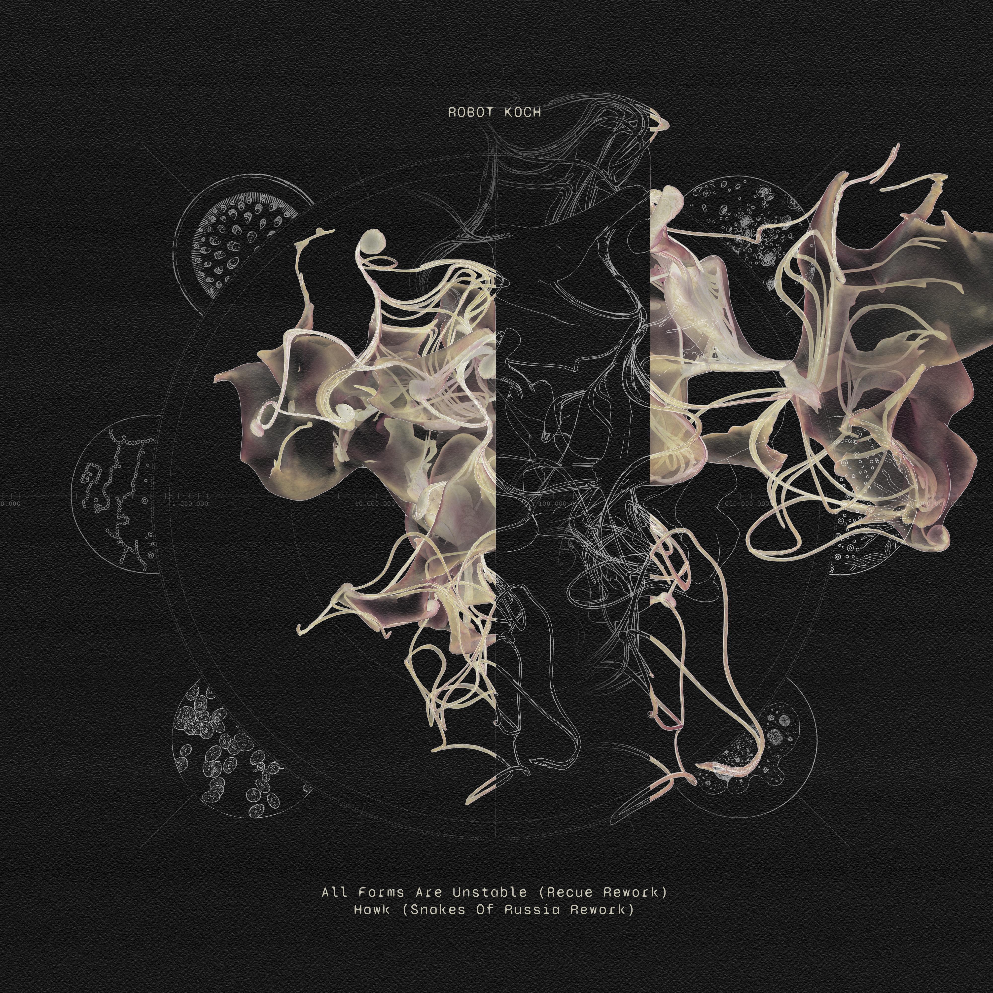 Hawk (Snakes of Russia Rework)