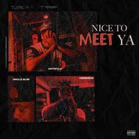 Nice To Meet Ya (feat. UNCLE SLIM & Henrique)