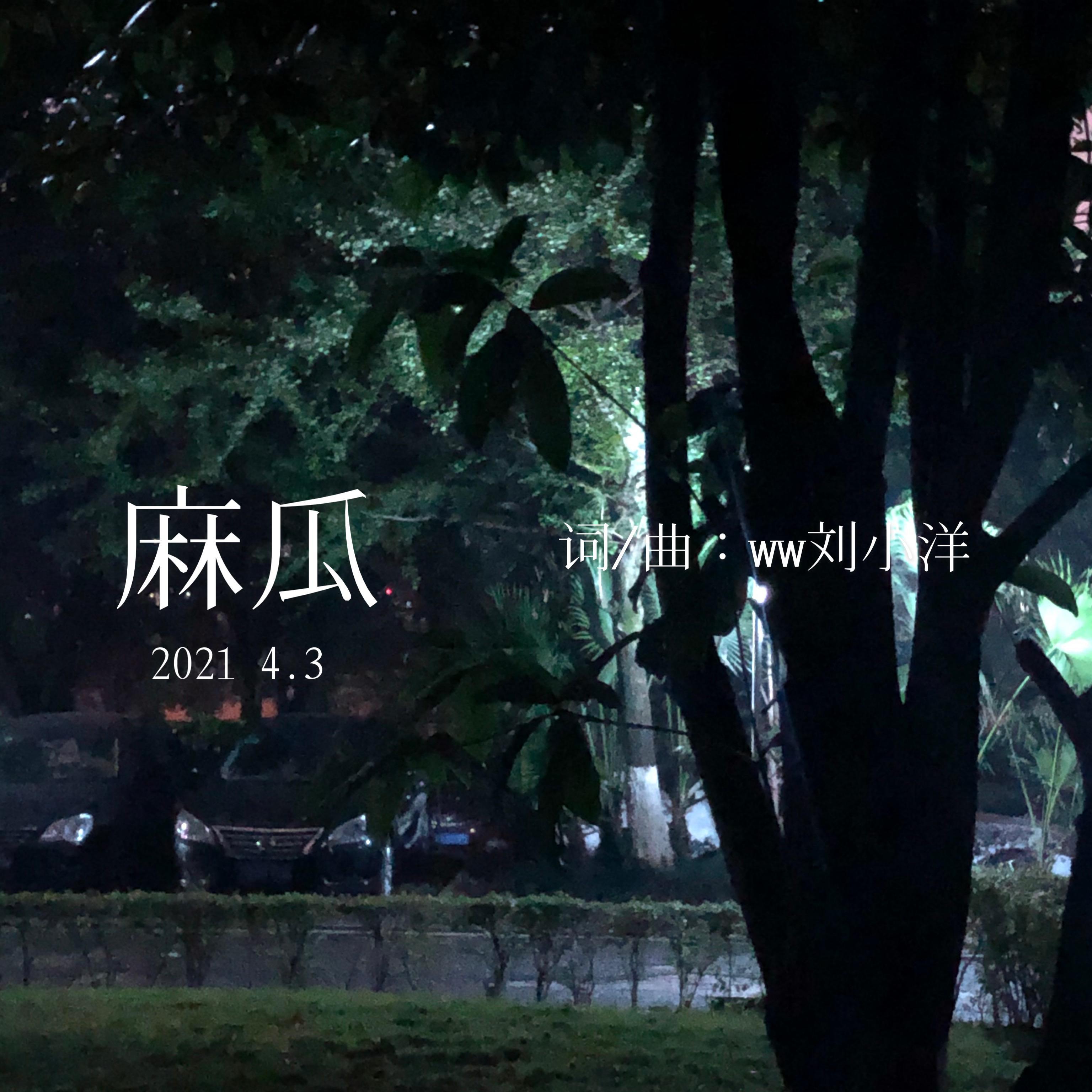 麻瓜（demo）封面
