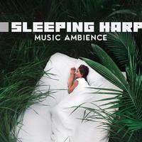 Soft Sleeping Melodies