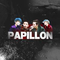 Papillon