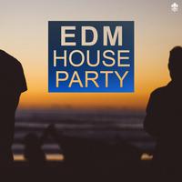 EDM House Party