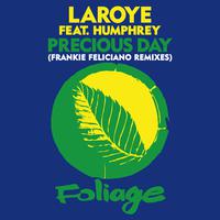 Precious Day (Frankie Feliciano Remixes)