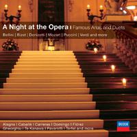 An Evening at the Opera: Famous Arias And Duets