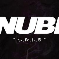 Nubi