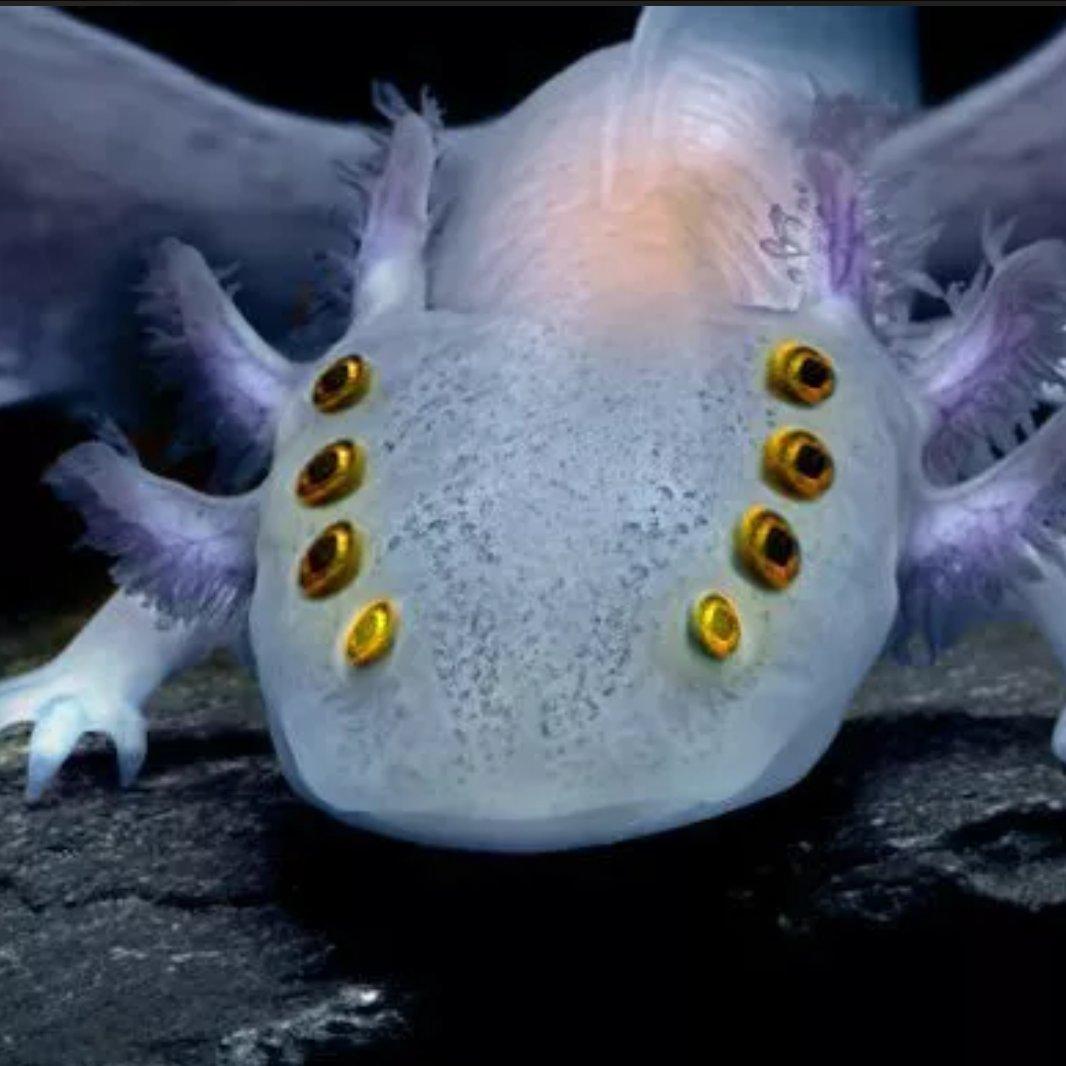 卡西莫多向东行驶