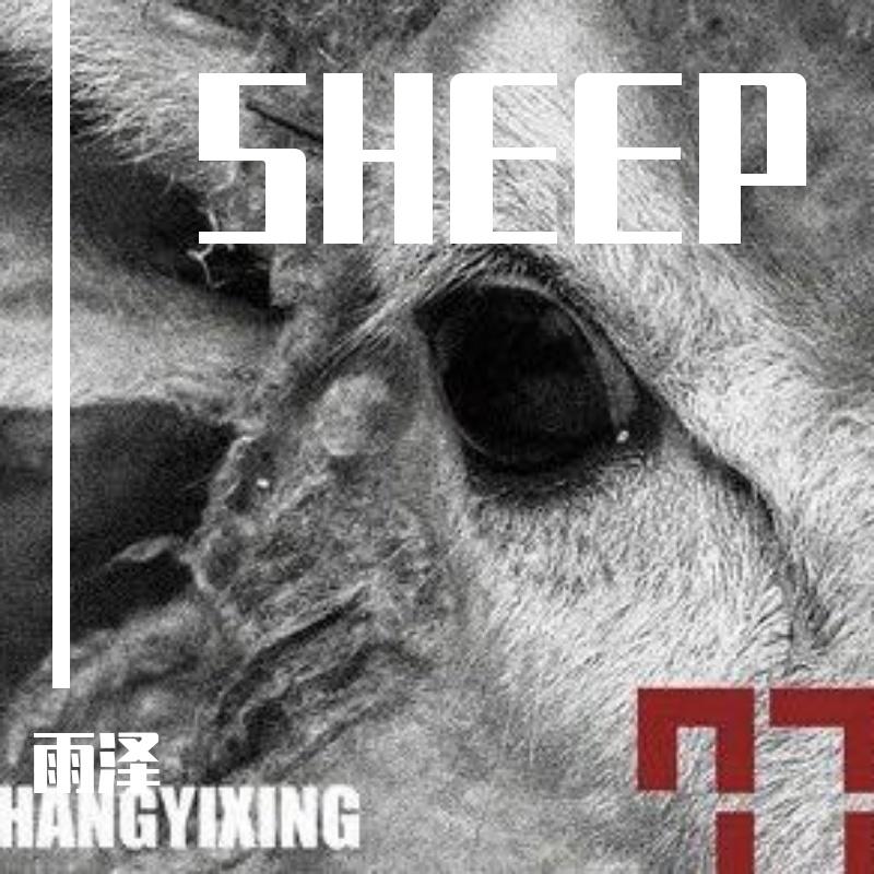 SHEEP(羊）封面