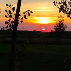 得到你的人却得不到你的心