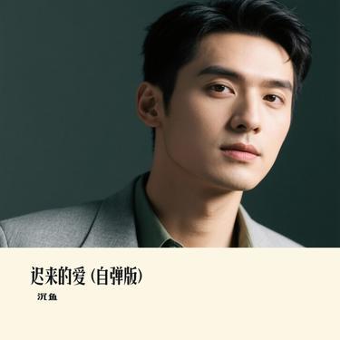 迟来的爱 (自弹版) (Cover 郝琪力)封面