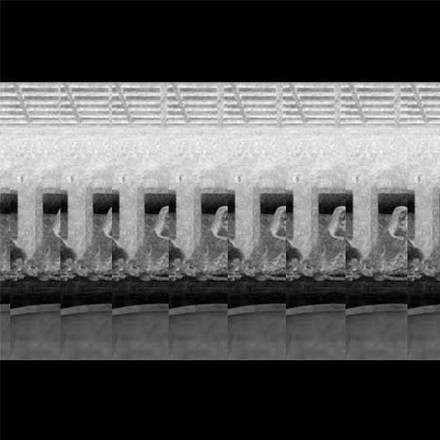 谁偷走了我的晚宴