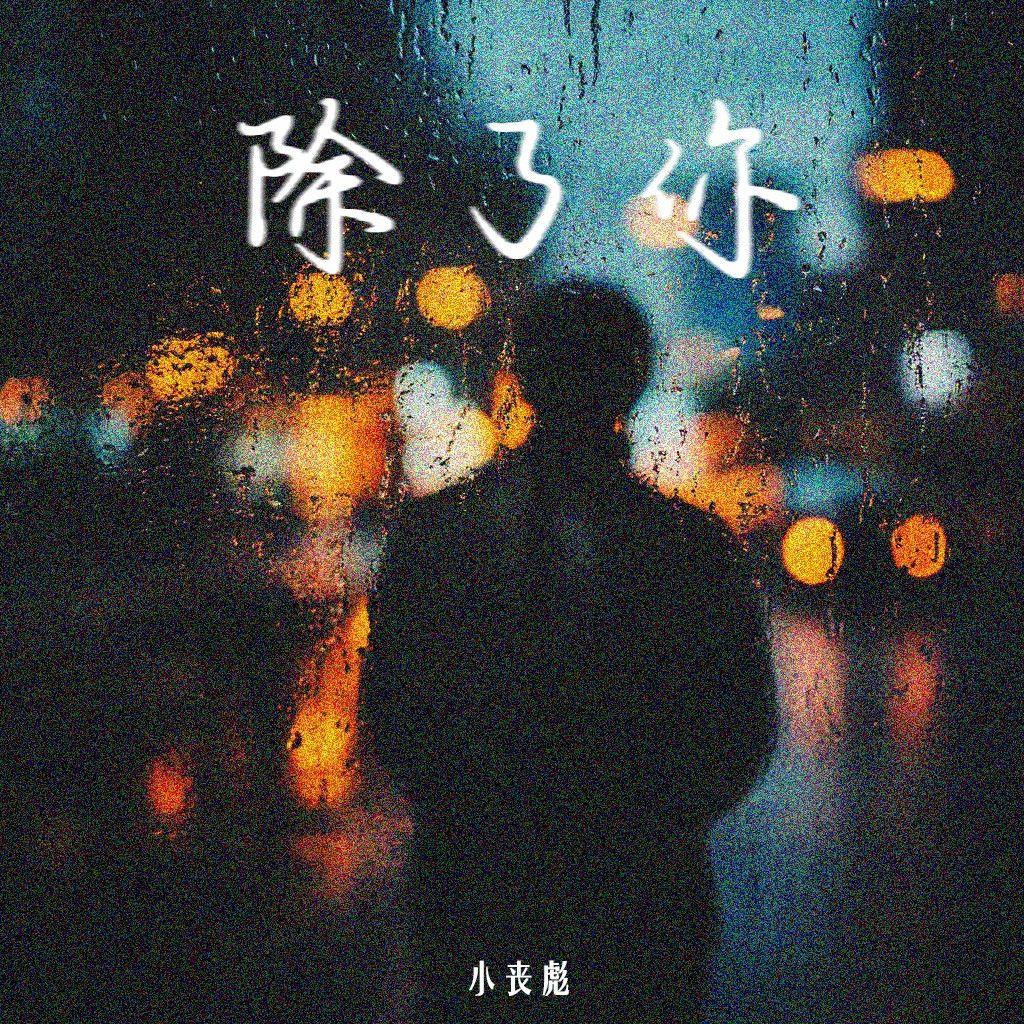 除了你(伴奏) - 小丧彪封面