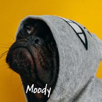 Moody (feat. Kideko, TCTS & Just Kiddin)