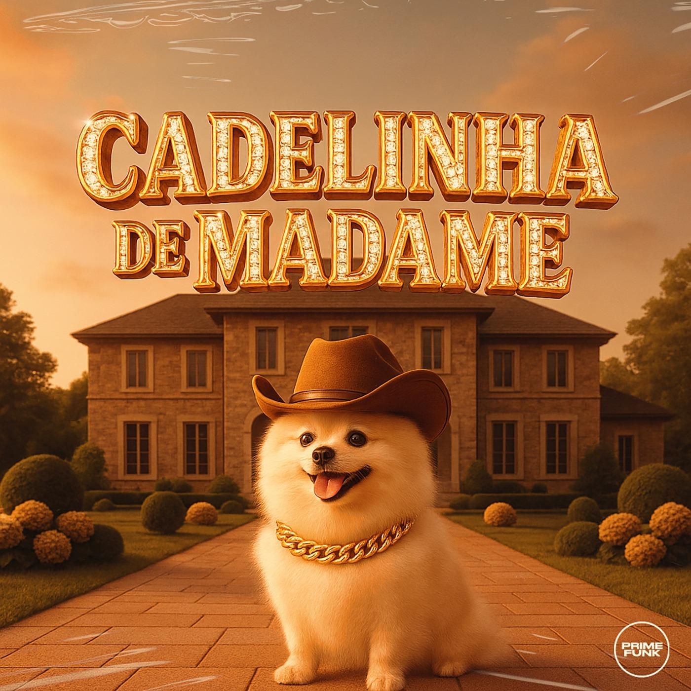 Cadelinha De Madame (Remix)