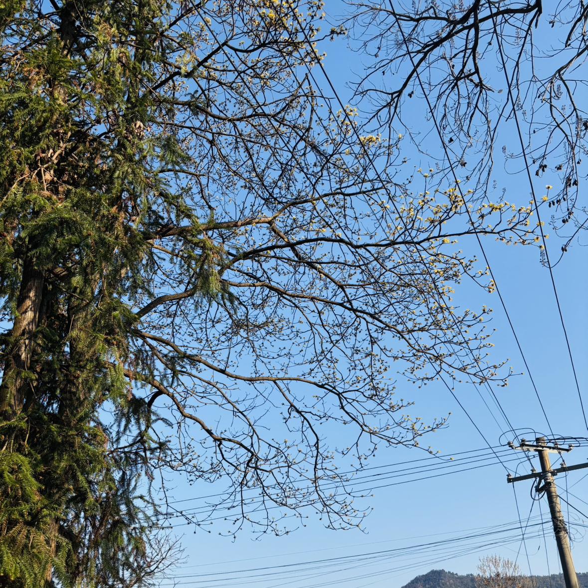 三十岁，你遗憾吗封面