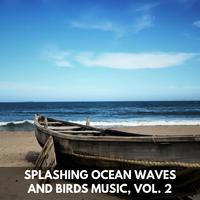 Splashing Ocean Waves and Birds Music, Vol. 2