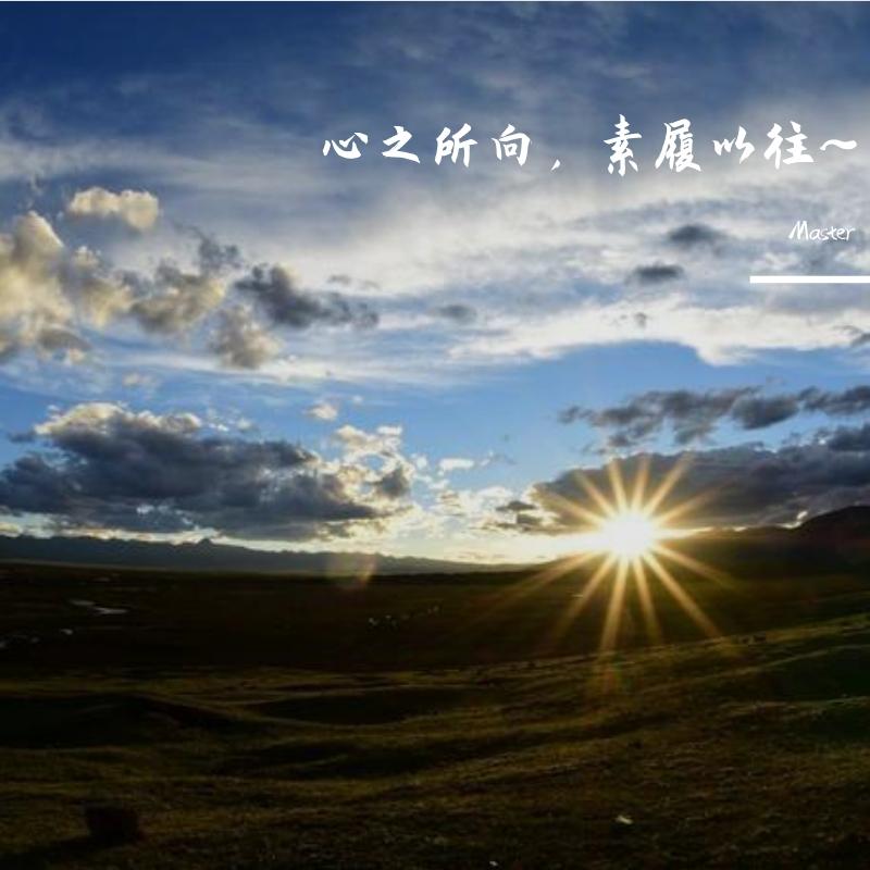 心之所向，素履以往