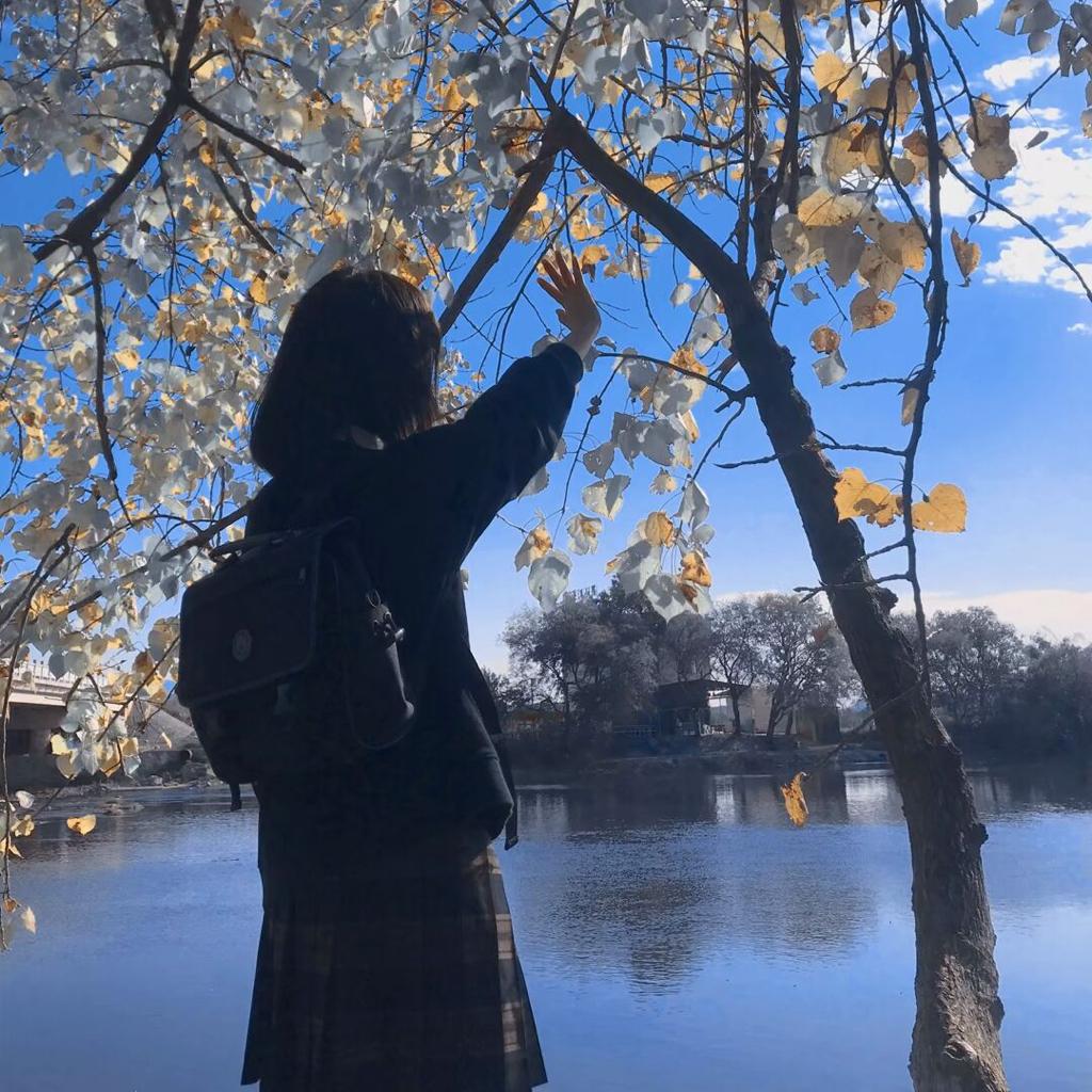 日剧OST | 好听的日剧主题曲指南