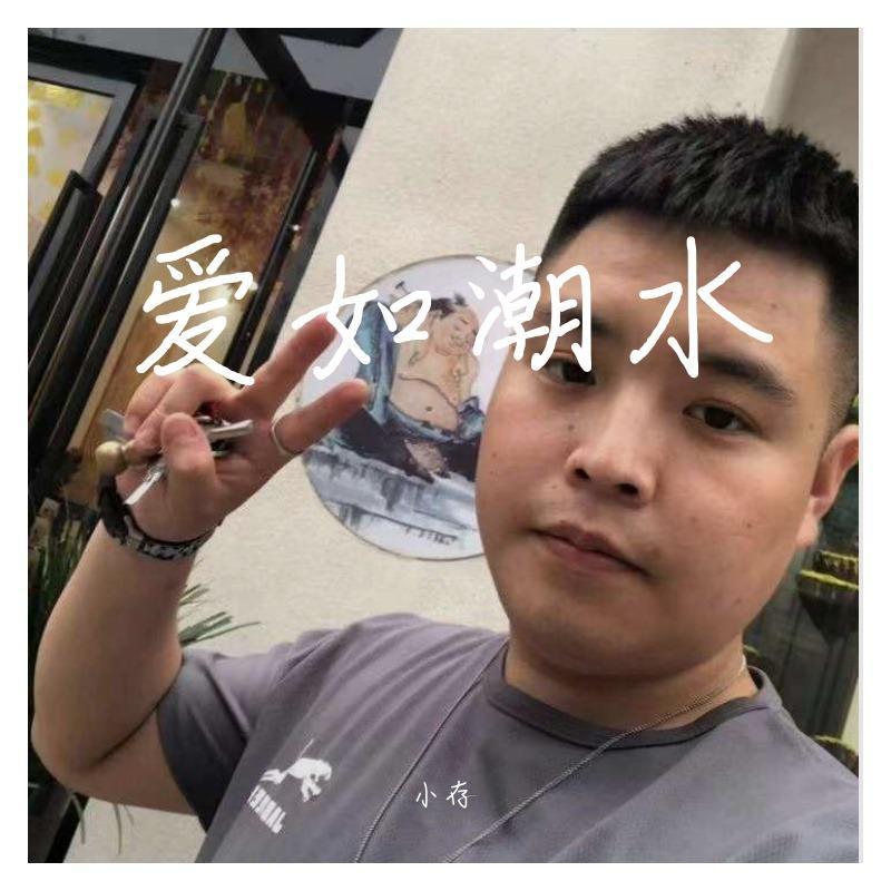 轮回者 - 小存封面