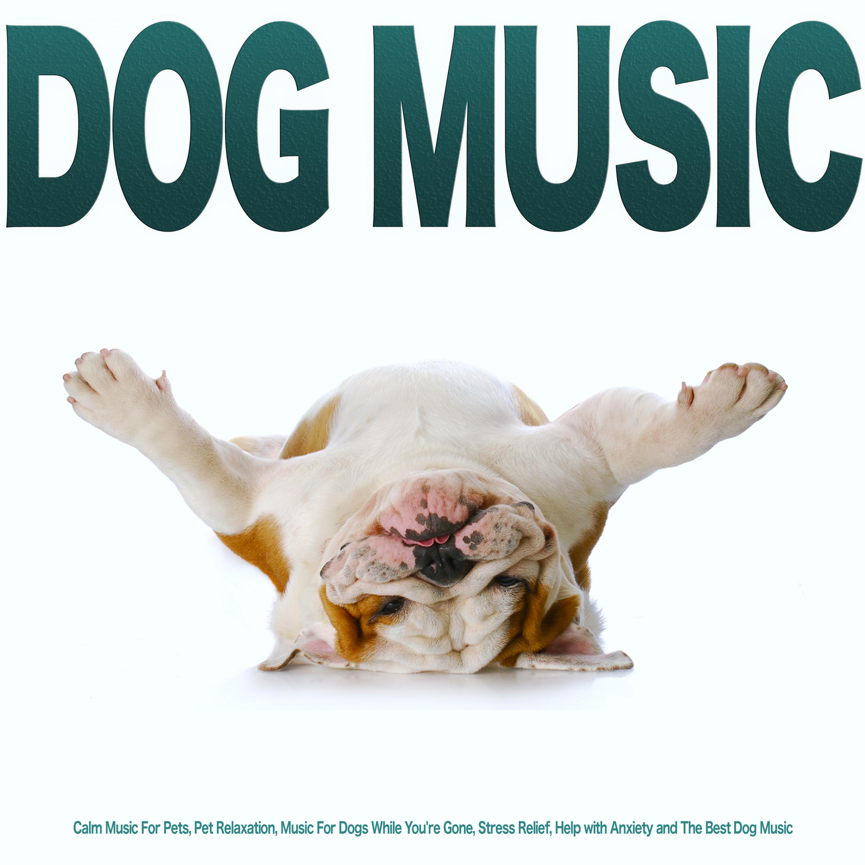 Music For Dogs