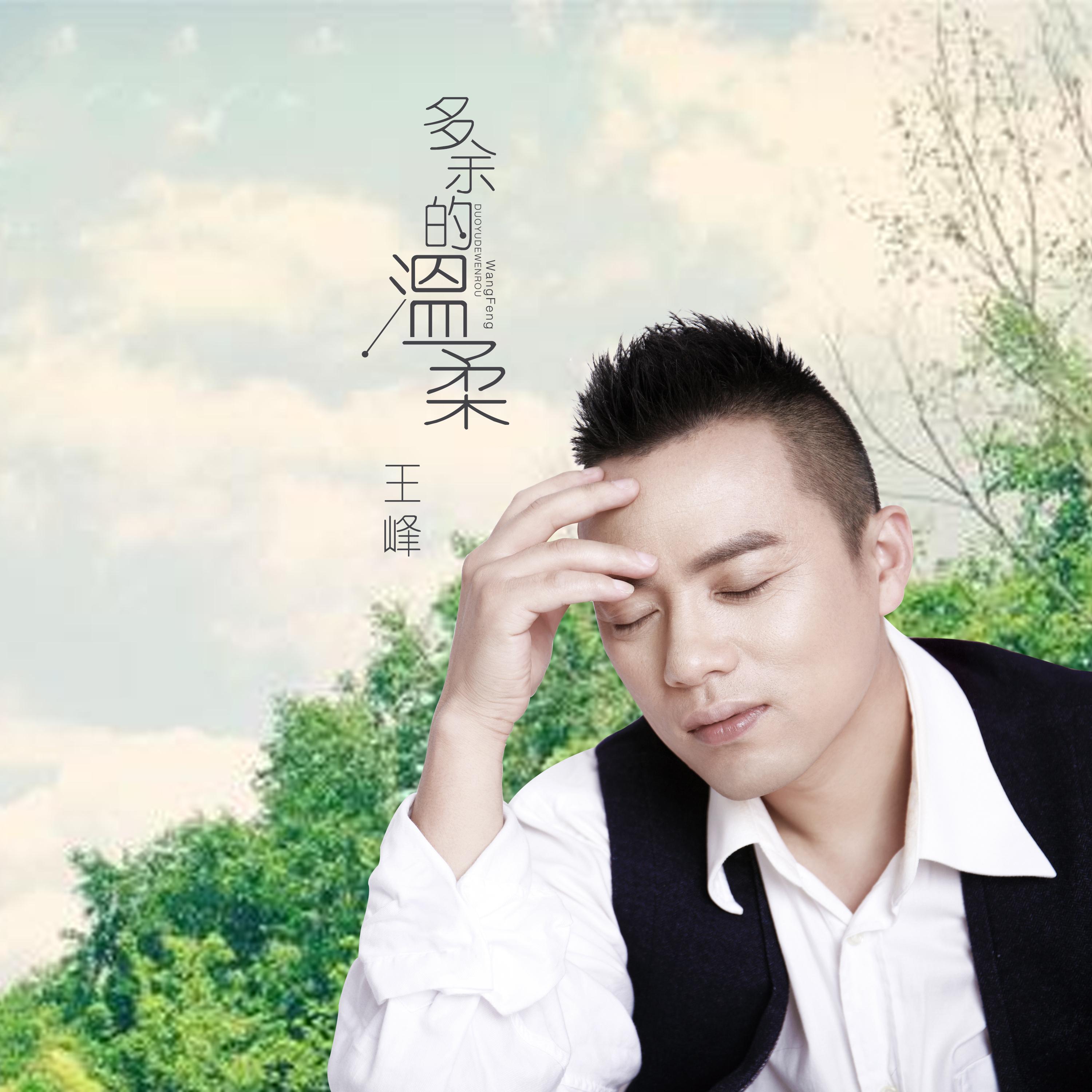 多余的温柔 (DJ何鹏女版伴奏) - 王峰封面