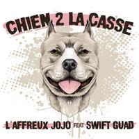 Chien 2 la casse