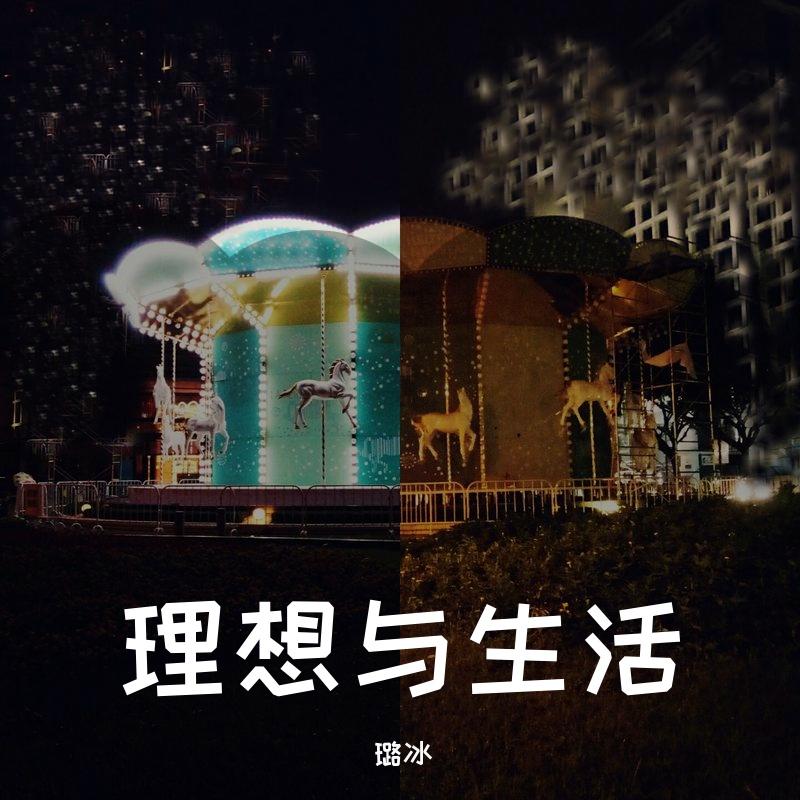 理想与生活封面