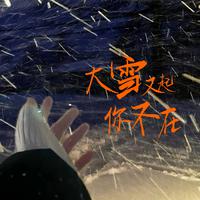 大雪又起你不在