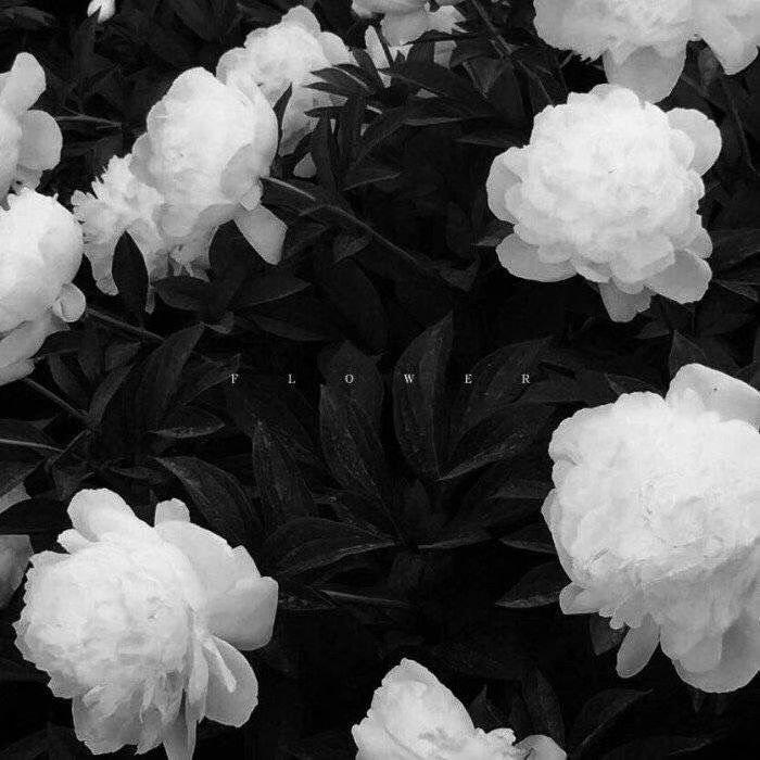 麻辣烫和酸辣粉