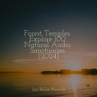 Forest Temples: Explore 100 Natural Audio Sanctuaries (2024)