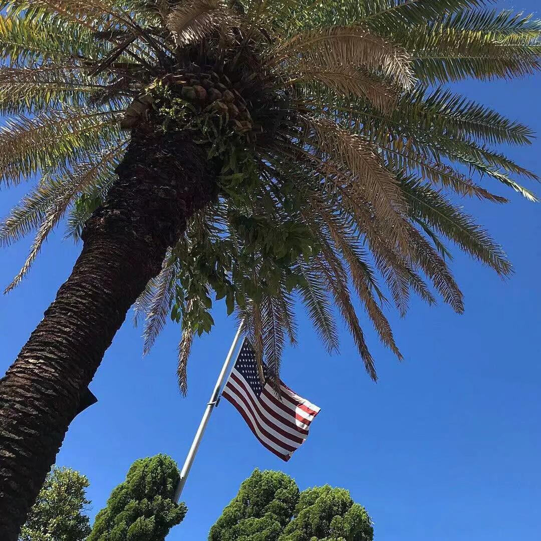 Alan Walker-Faded Closer(Mashup)（Bourbon9 / HETR remix）