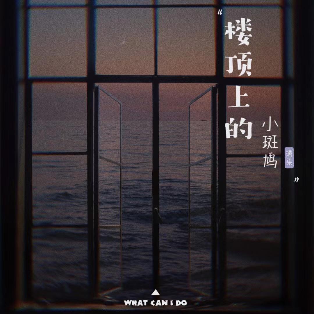 楼顶上的小斑鸠封面