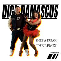 She's A Freak (Digi Damascus Remix)