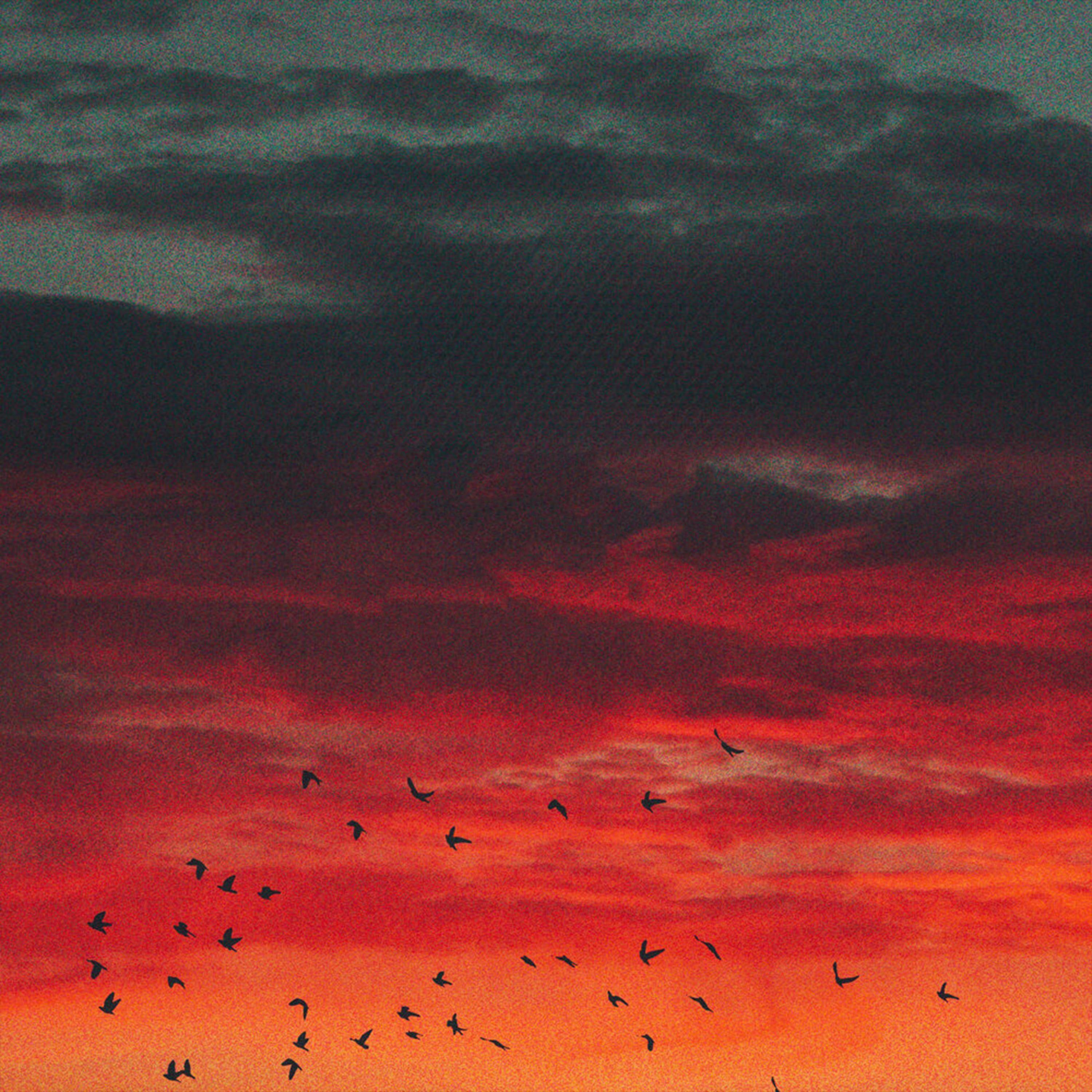 Позови меня