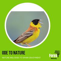 Ode to Nature - Nature Melodies to Spark Enjoyment