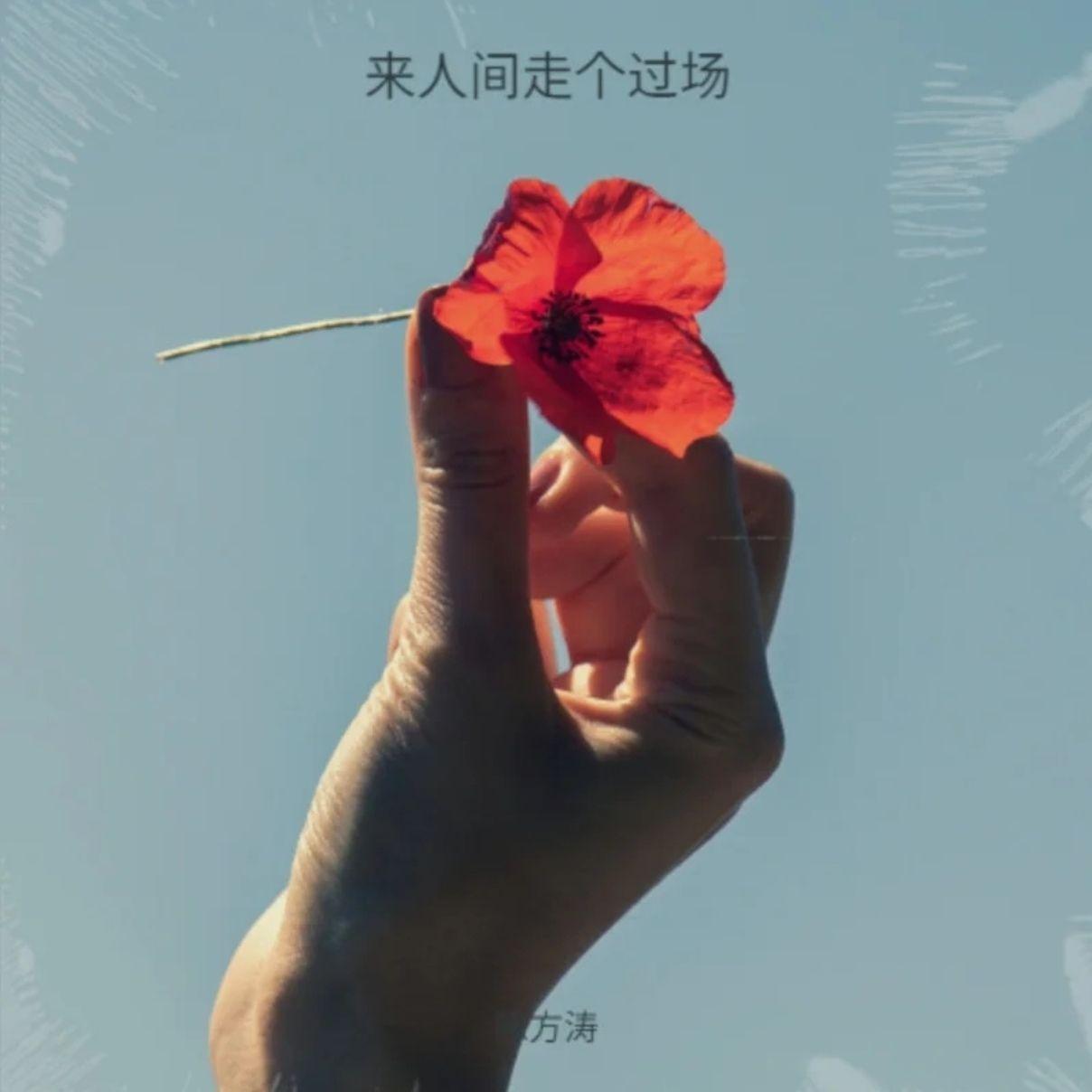 我敬自己一杯酒(女声版)封面