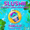 Slushii - Young & Lit (Extended Mix)