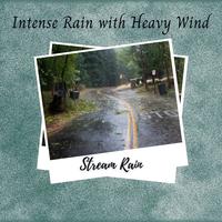 Stream Rain: Intense Rain with Heavy Wind