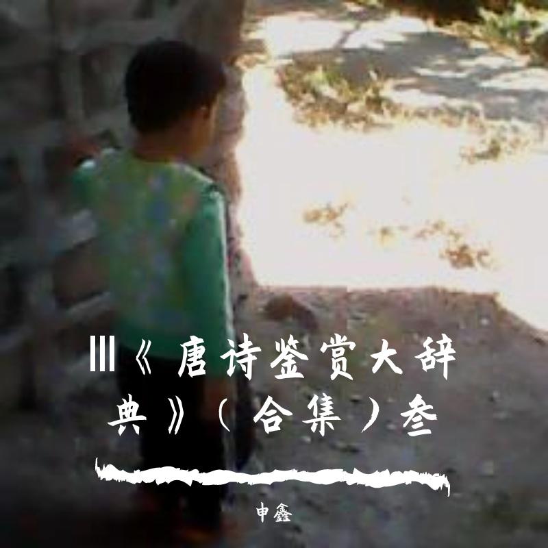 CⅩⅩⅩⅢ唐诗鉴赏大辞典（壹佰叁拾叁）《琵琶行》《遣悲怀三首》《南涧中题》《花非花》《燕子楼》封面