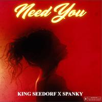 NEED YOU (speed up) (feat. SPANKY)